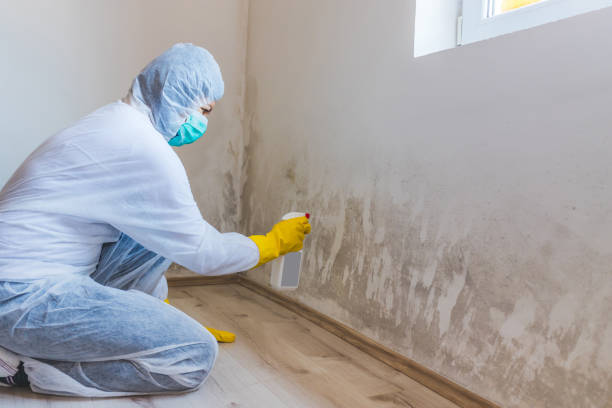 Bathroom Mold Removal assessment in Pompton Lakes bathroom